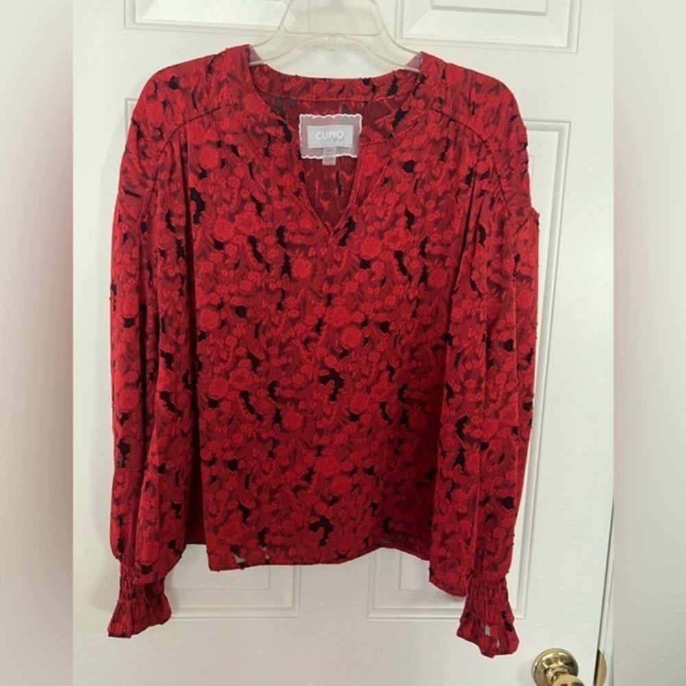 Cupio Blush Red Women’s Top, Large